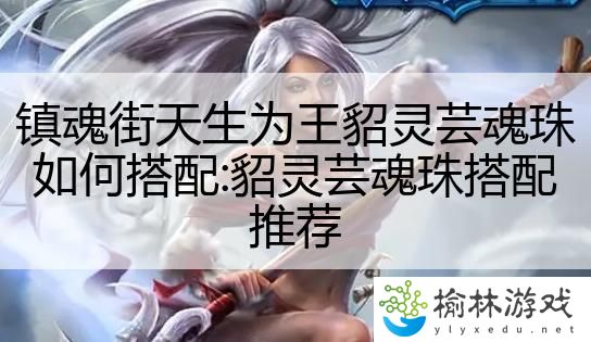 镇魂街天生为王貂灵芸魂珠如何搭配:貂灵芸魂珠搭配推荐