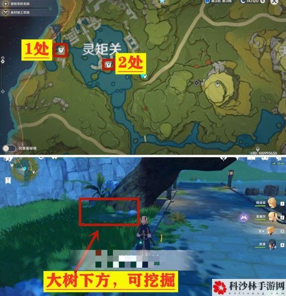 原神灵矩关和青墟浦无名宝藏坐标位置分享[视频]