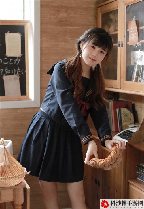 videocodecwmvideodecoder：解析数字世界的画面密码