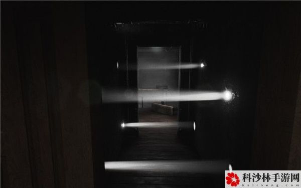 层层恐惧2怎么玩？所有关卡图文通关攻略大全[多图]图片25