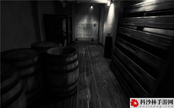 层层恐惧2怎么玩？所有关卡图文通关攻略大全[多图]图片28