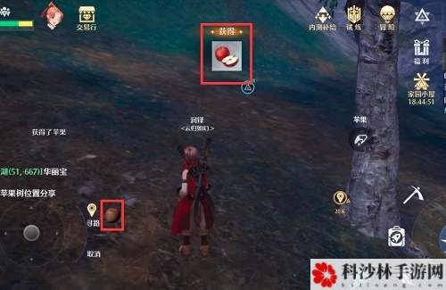 诺亚之心苹果树在哪 具体位置攻略