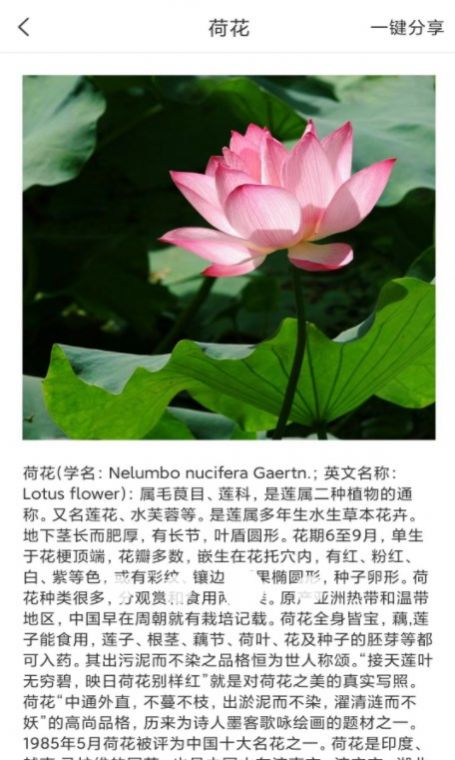 拍照识物全能王免费下载-拍照识物全能王安卓版v1.2.1