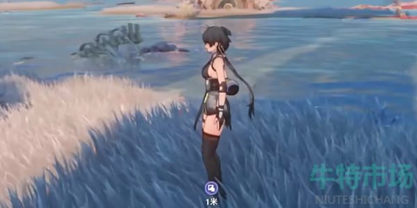 《鸣潮》停影霄山第八关拍照位置