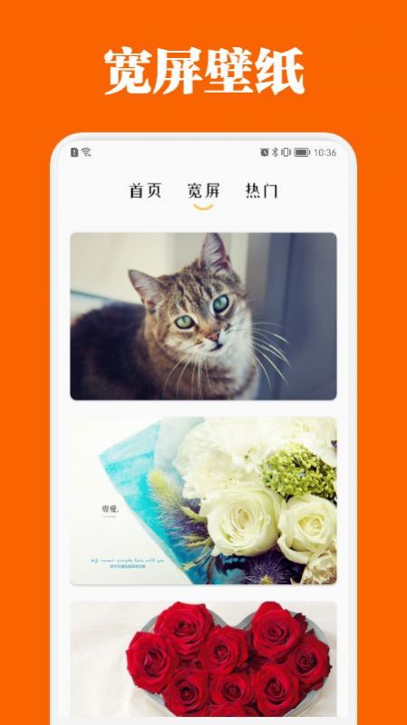 百变主题商店app下载安装最新版-百变主题商店手机app官方下载 1.1