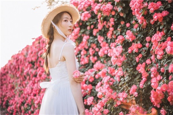 草莓丝瓜芭乐鸭脖奶茶手机版下载-草莓丝瓜芭乐鸭脖奶茶手机版手游免费下载安装