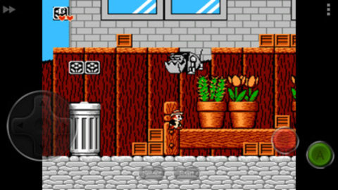 松鼠大作战2v3.94-松鼠大作战2玩家将亲自操控可爱的松鼠在充满挑战的关卡中穿梭