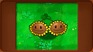 植物大战僵尸杂交版炫彩杨桃