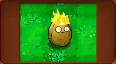 植物大战僵尸杂交版炫彩杨桃