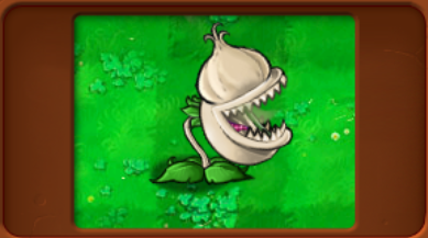 植物大战僵尸杂交版炫彩杨桃