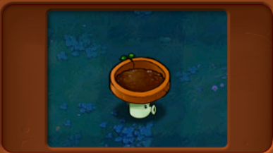 植物大战僵尸杂交版炫彩杨桃