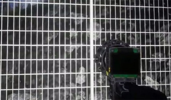 诡异的动物园v8.26-诡异的动物园游戏是一款以动物园求生为主题的冒险解谜类游戏