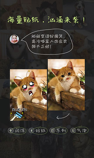 萌宠相机手机版下载-萌宠相机软件下载 2.0