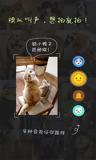 萌宠相机手机版下载-萌宠相机软件下载 2.0