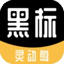 黑标灵动通知安卓软件下载