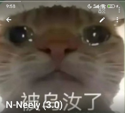 熊猫社工库下载app