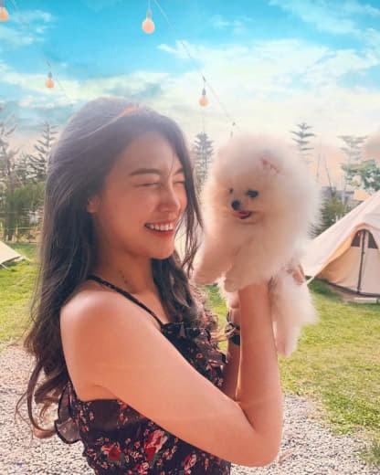 金花瓶楷梅花2正片实测体验：看完这篇，你就知道值不值得“剁手”！