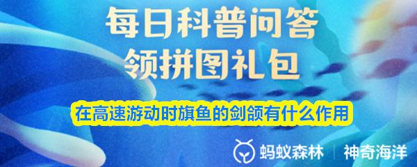 在高速游动时旗鱼的剑颌有什么作用