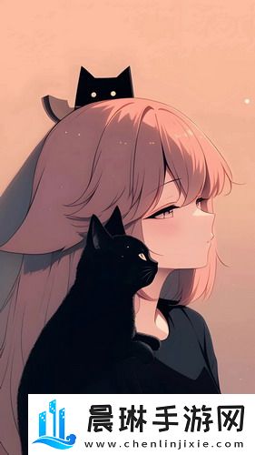 高清mv无字幕视频素材免费-高清mv无字幕视频素材免费最新资源v3.11.15